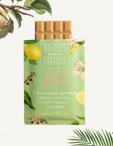 Natures own factory Гречишный шоколад с имбирем и лимоном, 20 г