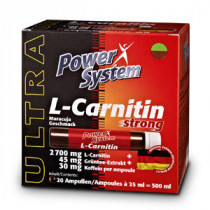 Power System L-Carnitin Strong, 20 амп